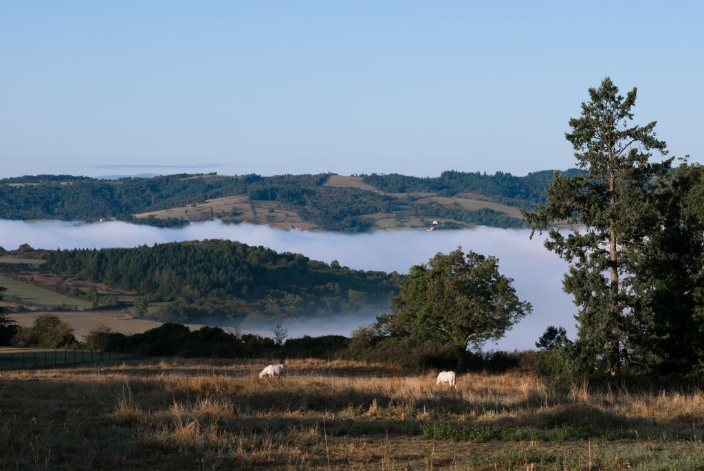 Domaine Des Grands Cedres Bed & Breakfast Cordelle Exterior foto